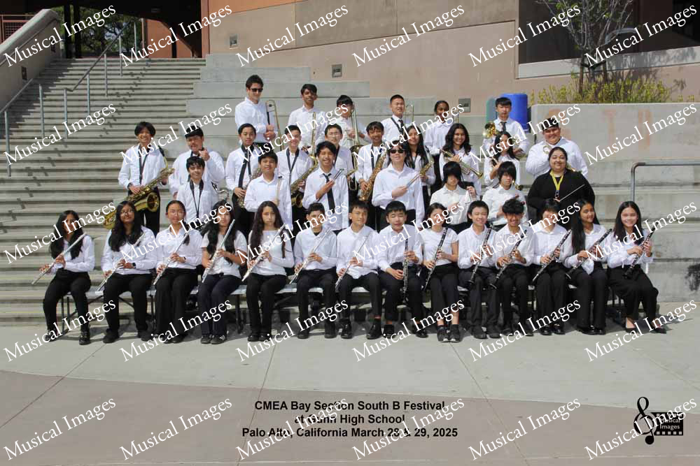 Musical Images